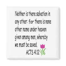 ACTS   4:12 magnet