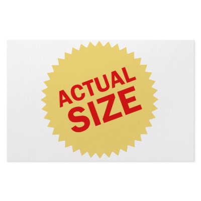 Actual Size Stationery by The_Shirt_Yurt