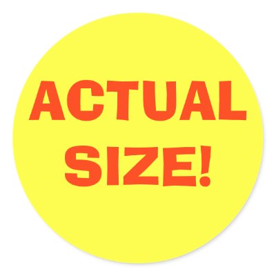 ACTUAL SIZE! STICKER by SiLenc3