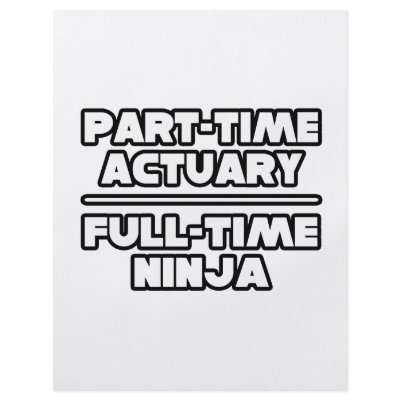 Actuary...Ninja Flyers by Actuary_Shirts