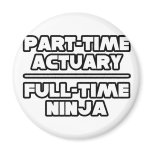 Actuary...Ninja Refrigerator Magnets