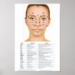 Acupressure Facial Points Poster