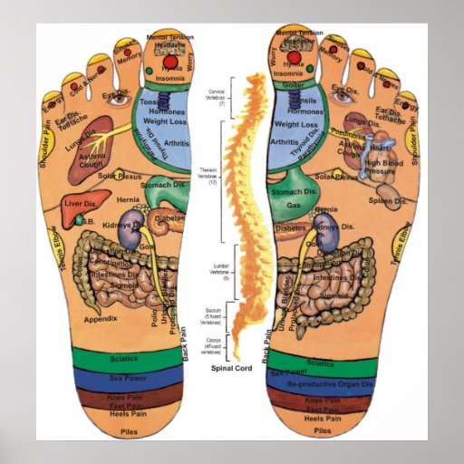 Acupressure Points Pressure Chart for the Feet Poster