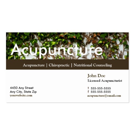 Acupuncture Business card appointment card Zazzle