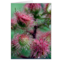 Acupuncture cards by Brian_Simes Acupuncture cards