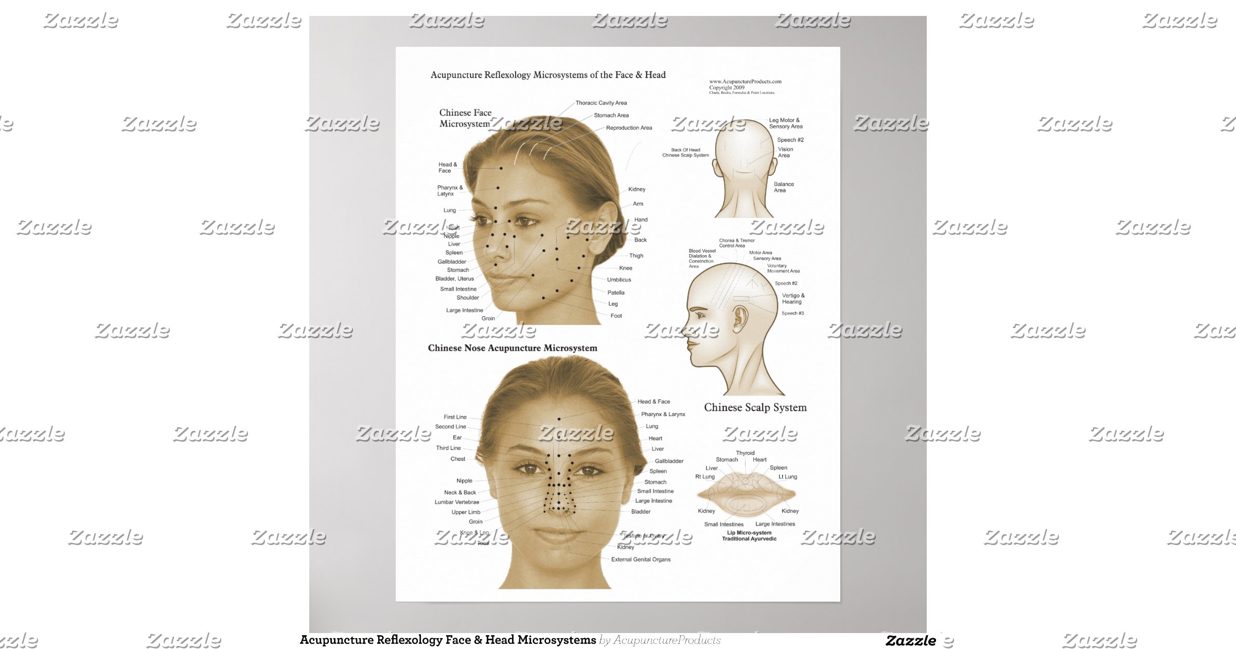 acupuncture_reflexology_face_head_microsystems_poster