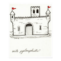 Acute Pyelonephritis print posters