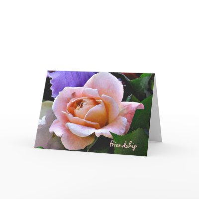 AD- Friendship Pink Rose Card by inspirationrocks