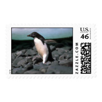 Ad?lie Penguin Stamp
