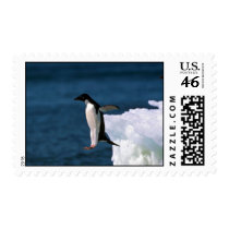 Ad?lie Penguins Leaping From An Iceberg Stamps
