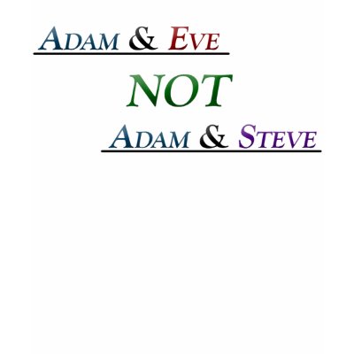 adam_and_eve_not_adam_and_steve_tshirt-p235482766914301393uh7s_400.jpg