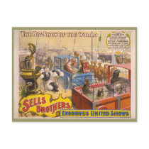 Adam Forepaugh and Sells Brothers Circus Poster postcards