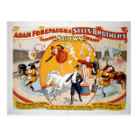Adam Forepaugh & Sells Brothers Postcard