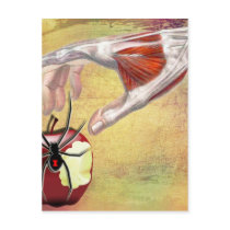 ADAM'S APPLE.jpg Post Cards