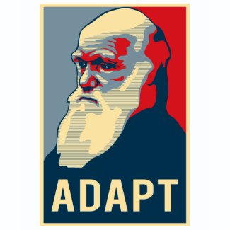 Adapt shirt