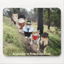 Adaptation in Felix Domesticus Mousepad