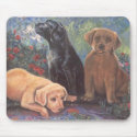 Adayatthepond mousepads