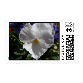 Add a Photo Postage stamp