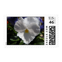 Add a Photo Postage