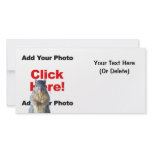 Add A Squirrel Custom Photo Card