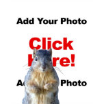 Add A Squirrel Custom Photo Kid's T-Shirt