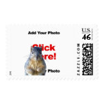 Add A Squirrel Custom Photo Postage Stamp