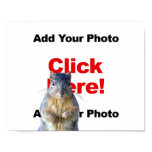 Add A Squirrel Custom Photo Poster