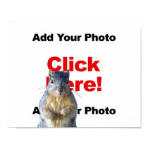 Add A Squirrel Custom Photo Poster posters by MisterSquirrel Add A Squirrel Custom Photo Poster posters