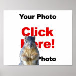 Add A Squirrel Custom Photo Poster