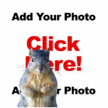 Add A Squirrel Custom Photo Sculpture