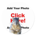 Add A Squirrel Custom Photo Sticker