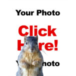 Add A Squirrel Custom Photo T-Shirt