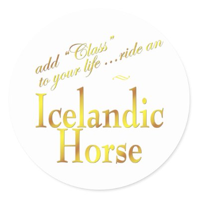 icelandic horse riding