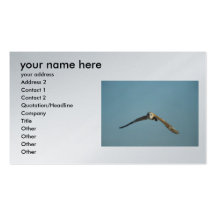 add you info bussiness cards business card