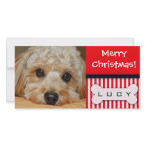 Add your favorite dog photo to this Christmas temp photo cards