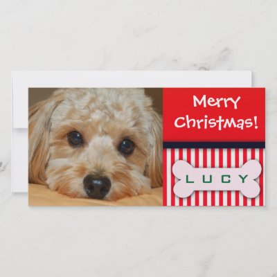 Add your favorite dog photo to this Christmas temp Picture Card