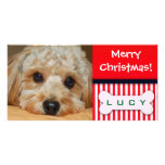 Add your favorite dog photo to this Christmas temp Picture Card