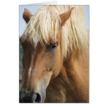 Add your own text! greeting card