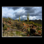 (Add Your Own Text) ~Life & Death~ postcards