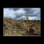 (Add Your Own Text) ~Life & Death~ postcards