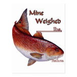 Add your weight-Redfish Post Card