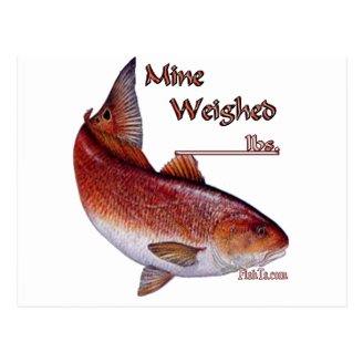Add your weight-Redfish Post Card