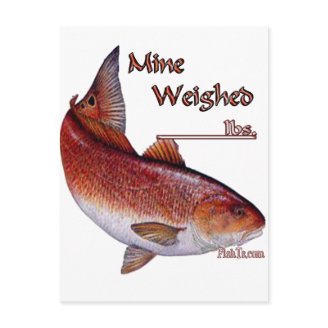 Add your weight-Redfish Post Card