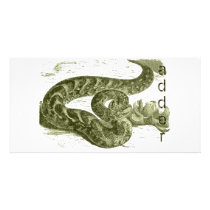 Adder (snake) photo cards