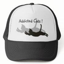 Addicted Cats ! hats