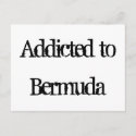 Addicted to Bermuda