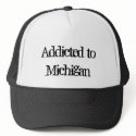 Addicted to Michigan
