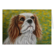 Addie - Cavalier King Charles Spaniel card
