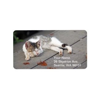 Address Label - Sleeping Cat Zzz's!