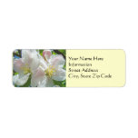 Address Labels Custom Spring Apple Blossom Flowers